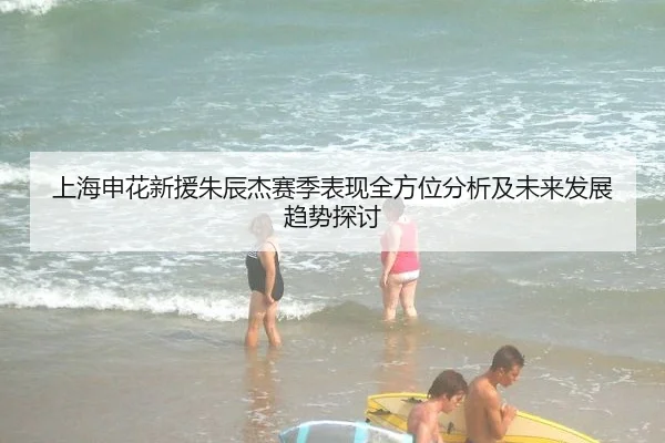 上海申花新援朱辰杰赛季表现全方位分析及未来发展趋势探讨