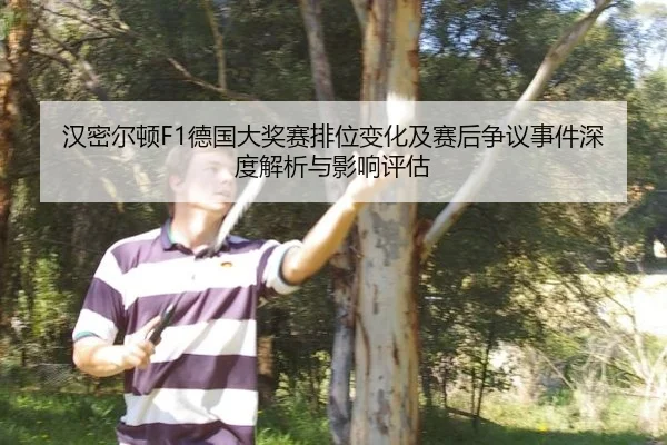 汉密尔顿F1德国大奖赛排位变化及赛后争议事件深度解析与影响评估